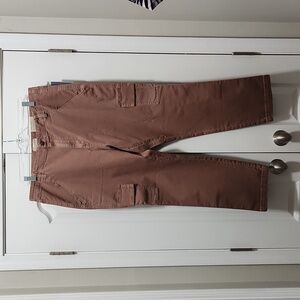 Brown Size 16 Pants
